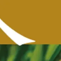 米の美味しさを探る