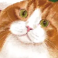 MOFFクリスマス2025