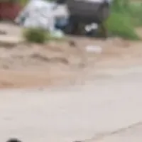 般若の井戸掘り