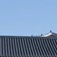 道枝駿佑の韓国旅