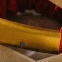 Catlogギフト新登場