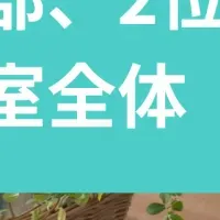 年末大掃除の実情