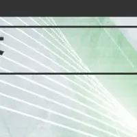 海外駐在員の実情