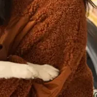 ペットの安全を考える