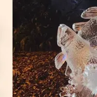 全国氷彫刻展の魅力