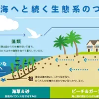 パラオの自然保護