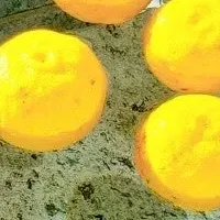 ほっと大熊の柚子風呂