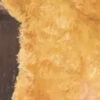 町田尚子原画展