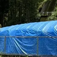 NEXT DELIVERYの受賞