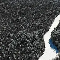 ふじてんスノーリゾート