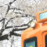 受験生応援企画