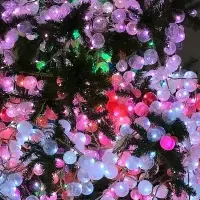 ROKKO i PARKの冬イベント