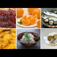 伊方町の食文化推進