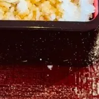 国産うなぎのうな重が登場