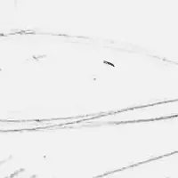 メゾン マルジェラの住宅