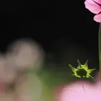 カメラ初心者向け講座