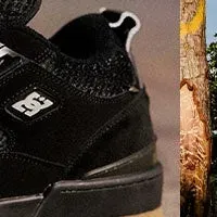 新作「JS1」登場！