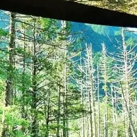 次世代教育プロジェクト