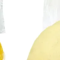 Kimuraya's New Products