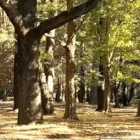 サイクリングセンター再開