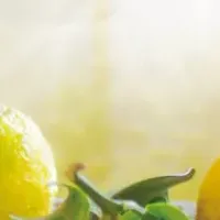 冬至のゆず風呂