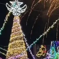 新年を迎えるイルミネーション