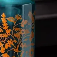 音とジンの出会い