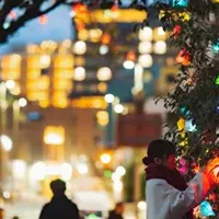 道後の冬をアートで彩る