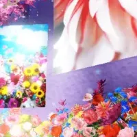 蜷川実花のRoblox体験