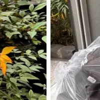 不用品を活かす新施策