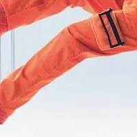 BUDDY SYSTEMの全貌