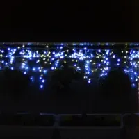 冬のとくしま植物園