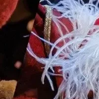 ONE PIECEバスツアー