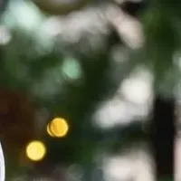 小諸蒸留所の冬限定企画