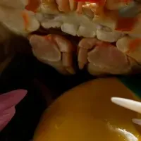 金沢『滝亭』の新体験