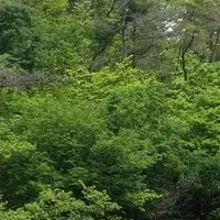 大阪でネイチャーポジティブ活動