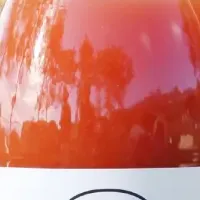 ウェルネスリトリート