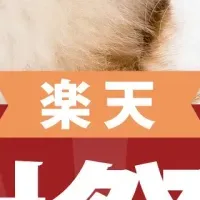 ペット用品セール