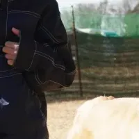 特設ドッグランオープン