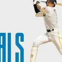 柳田選手の寄付活動