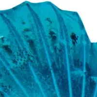 『OCEAN LIFE 図鑑』