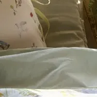 春の動植物アート