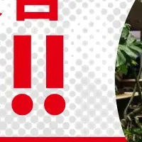 新校舎移転情報