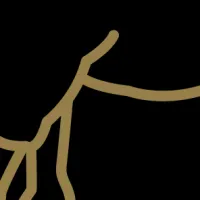 睡眠サービスの認証