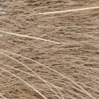 カピバラ愛溢れる写真集