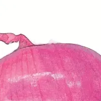 植物画コンクール