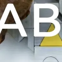 Catlogの海外展開支援