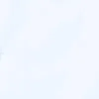 栄養たっぷりフランス菓子