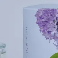 春香るヒヤシンスの魅力