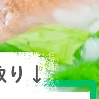 べあ〜君ARコンテスト